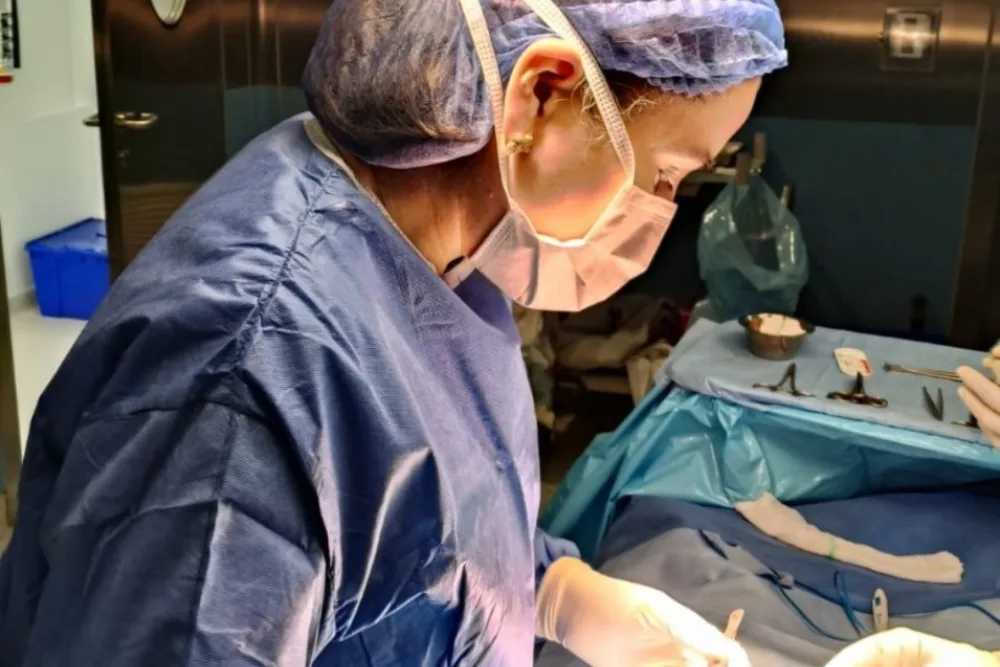 Plastia inguinal